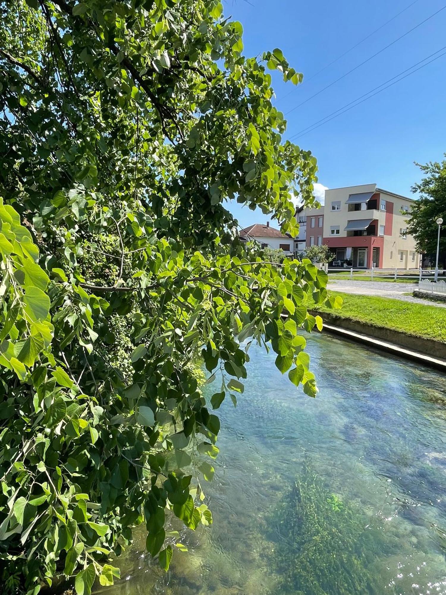 Apartment Vila Tara Bihać Exteriör bild